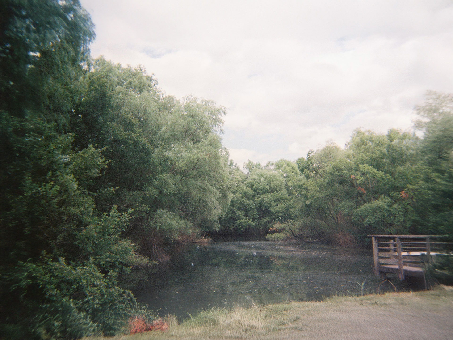 合併記念見沼公園(2)