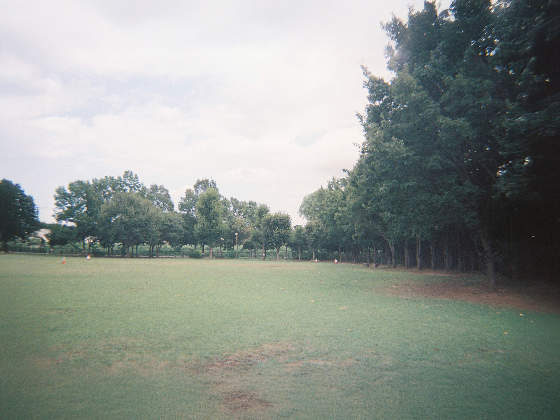 合併記念見沼公園(3)