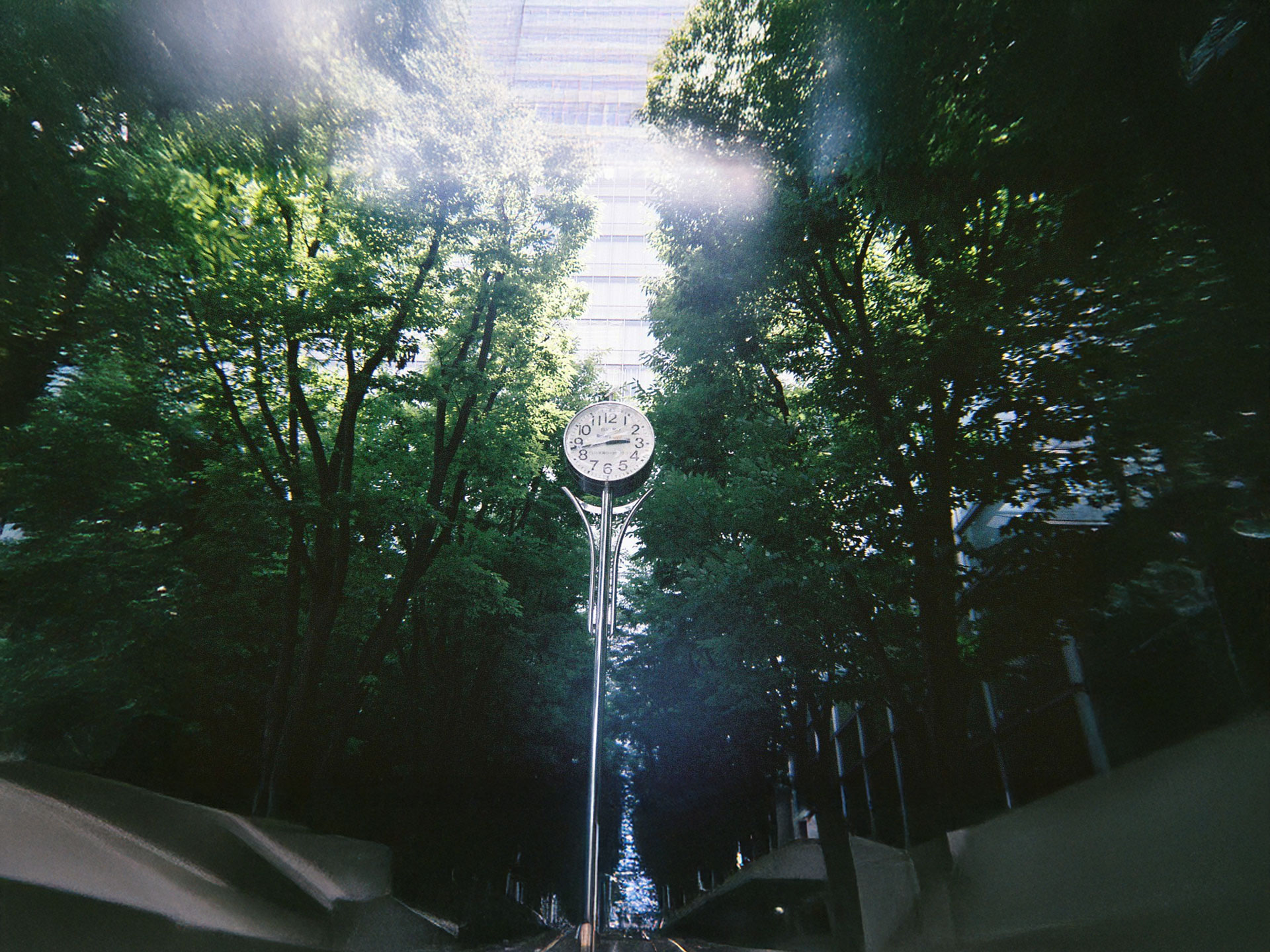 さいたま新都心けやきひろば