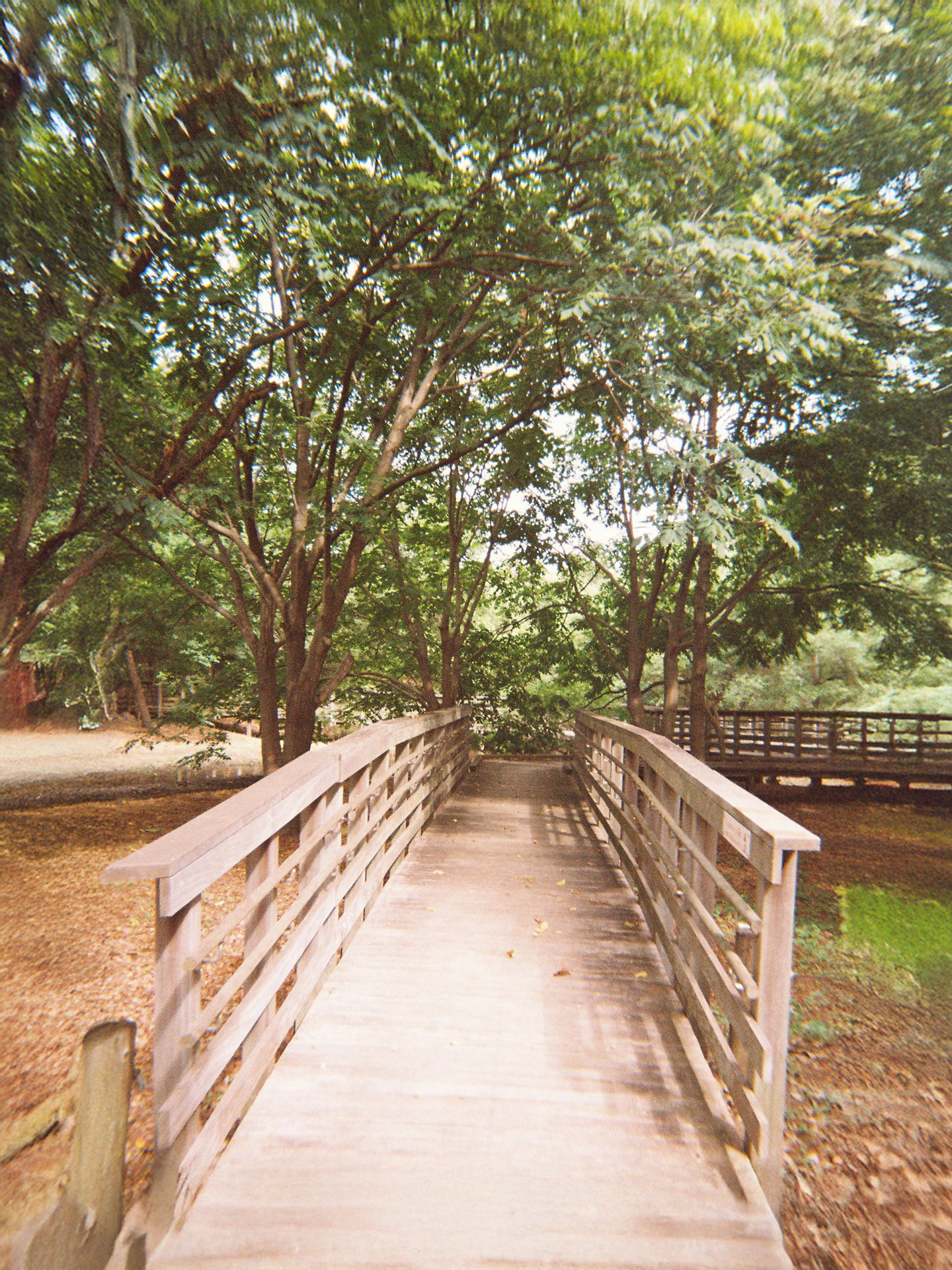 合併記念見沼公園(1)