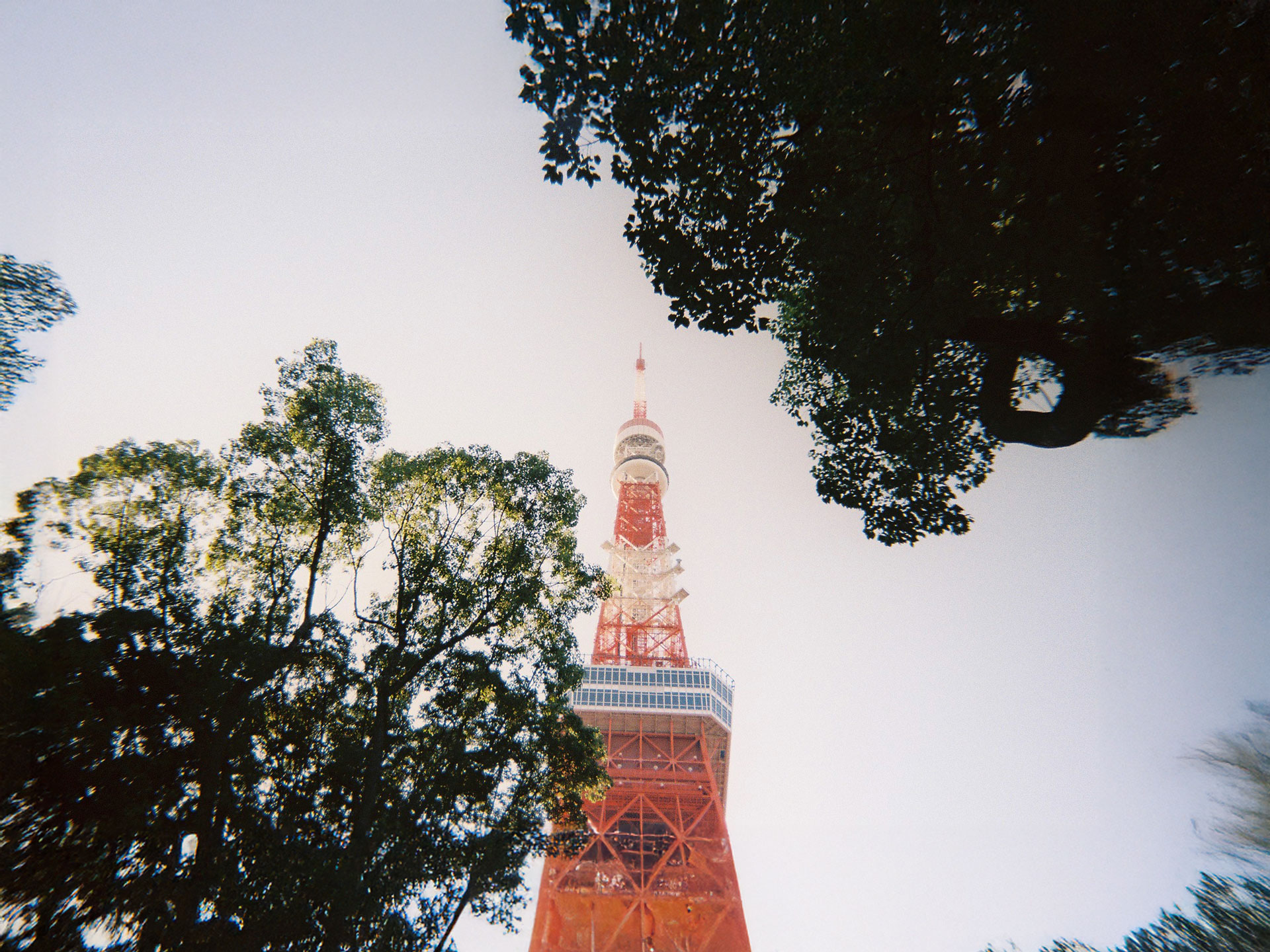 芝公園の森から(1)